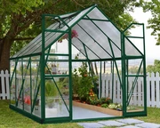 Serre en polycarbonate Balance Vert 2,44 x 2,47 m Palram