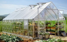Serre en polycarbonate Balance 3,04 x 6,04 m Palram - Canopia
